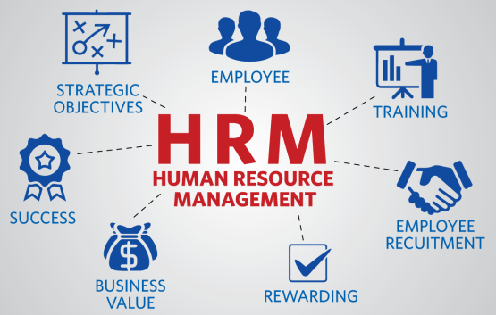 https://al-faridgroup.com/wp-content/uploads/2024/07/Human-resource-management.png